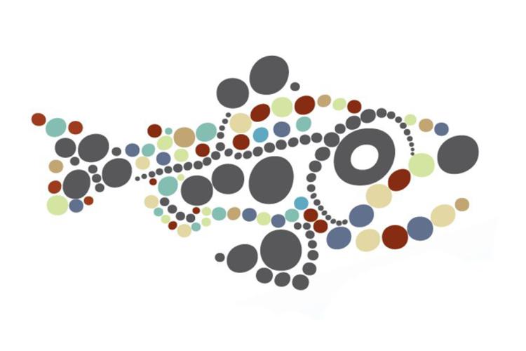 world_rivers_day