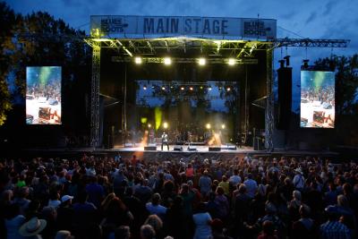 Image of a crowd at a concert