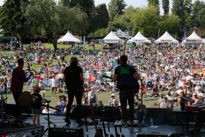 Image of a crowd at a concert